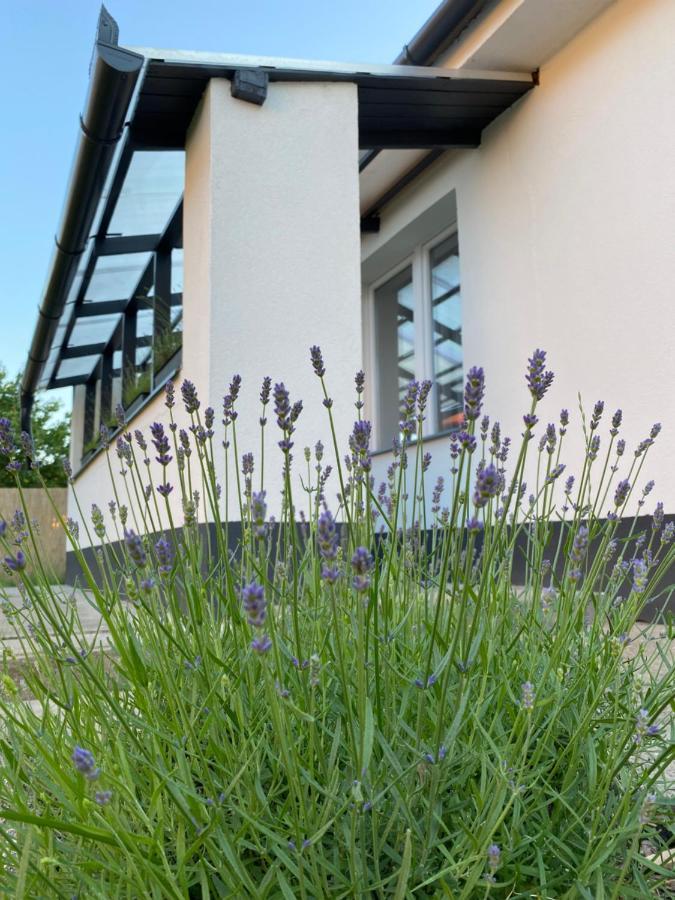 Lavender Garden Apartment Debrecen Buitenkant foto